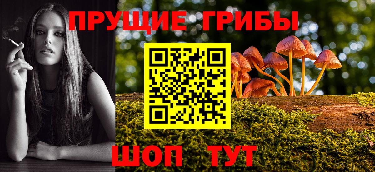 Псилоцибиновые грибы GOLDEN TEACHER Норильск
