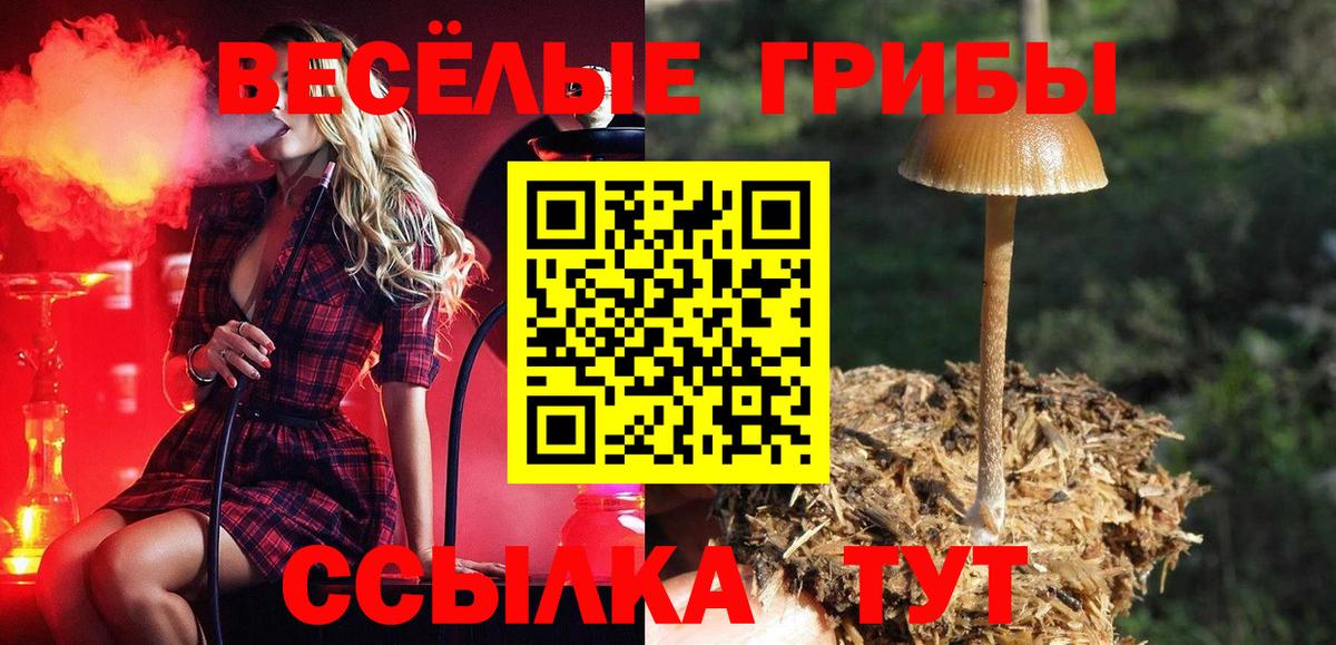 Псилоцибиновые грибы GOLDEN TEACHER  Галлюциногенные грибы Psilocybe  Вход с VPN  Норильск 